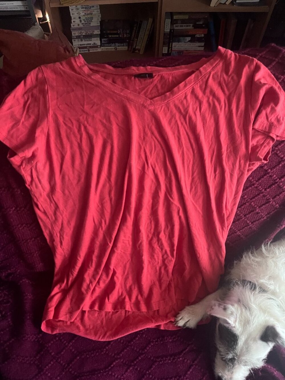 Torrid V-Neck Shirt Size 1